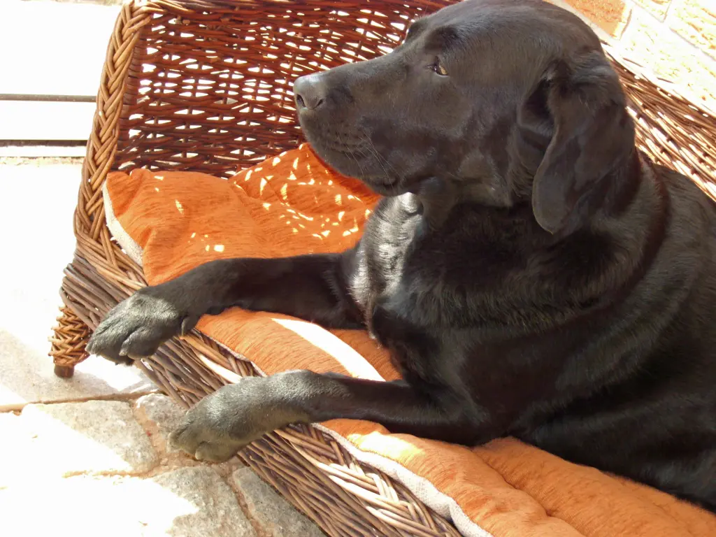 Image from Mona