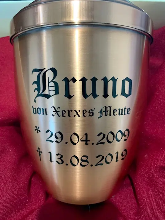 Image from Bruno