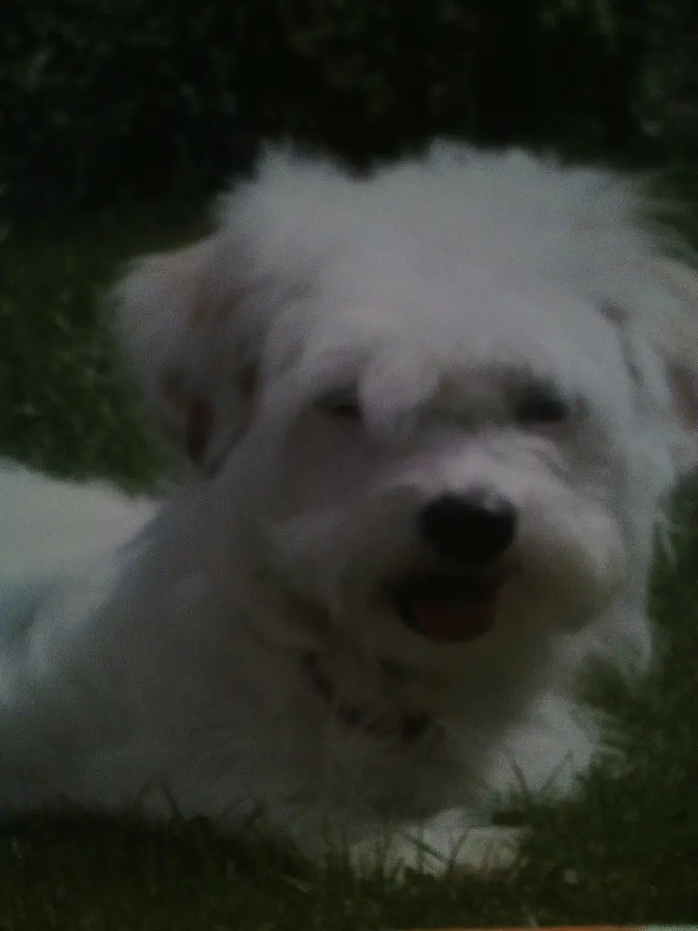 Image from Aisha
