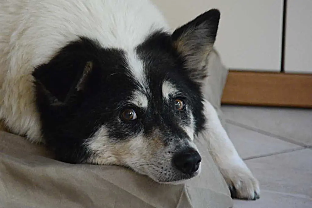 Bild von Yill