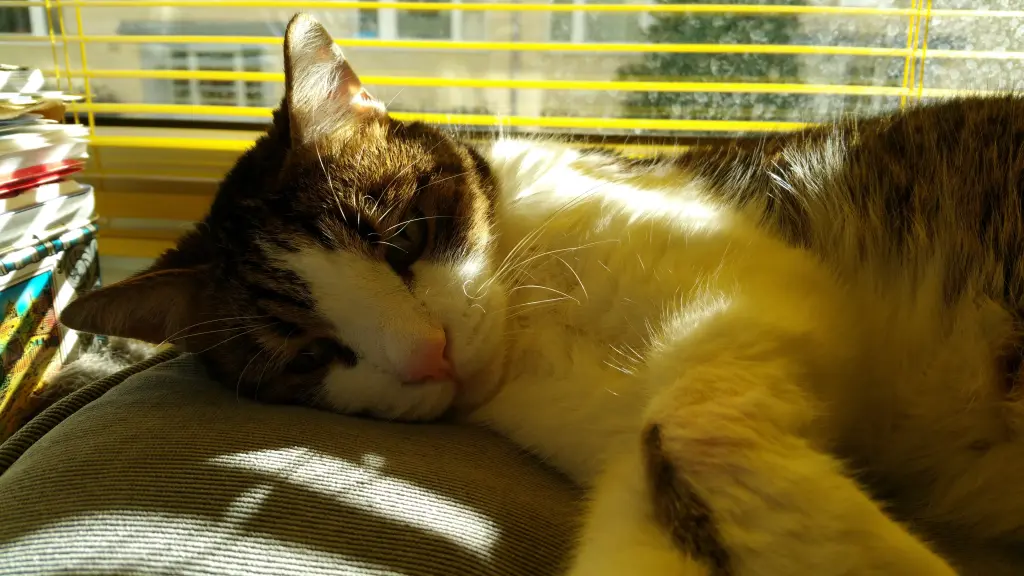 Andachtsbild von Tanja mit Timmy im Herzen