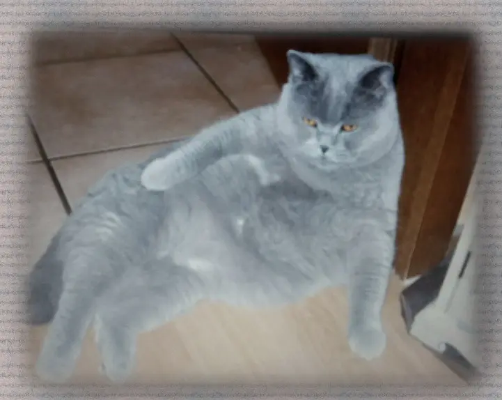 Andachtsbild von Sabine mit Kaspar tief im Herzen✟ 24.05.2019