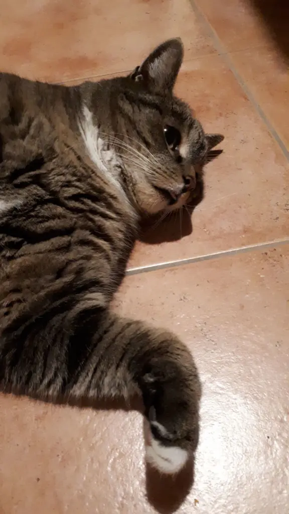 Andachtsbild von Sandra Marquardt