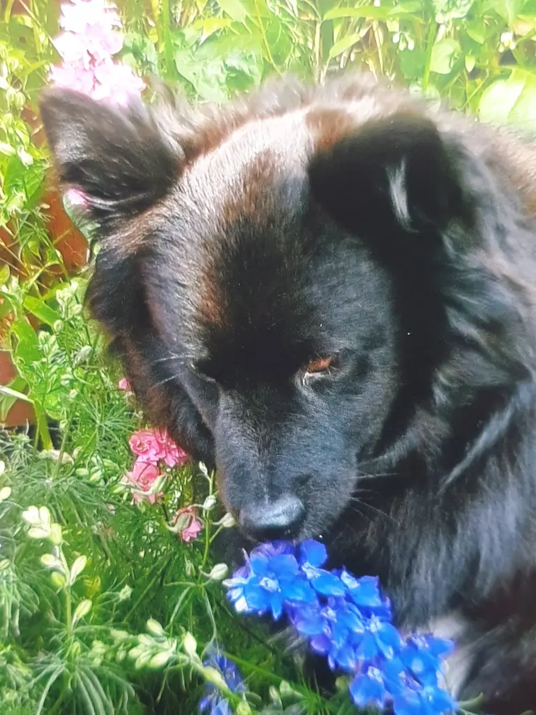 Andachtsbild von Elke mit Wolle ganz tief im Herzen????❤