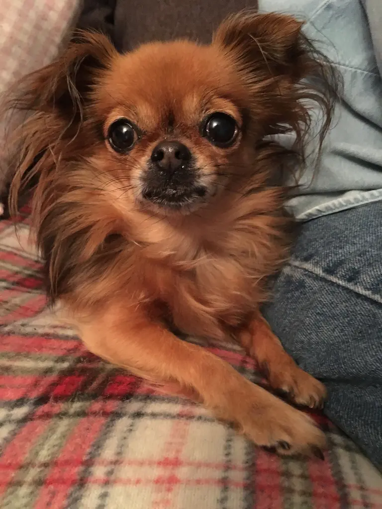 Image from Lucy