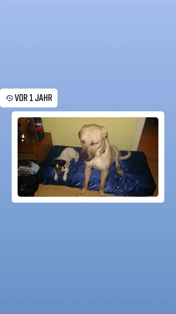 Image from Spike