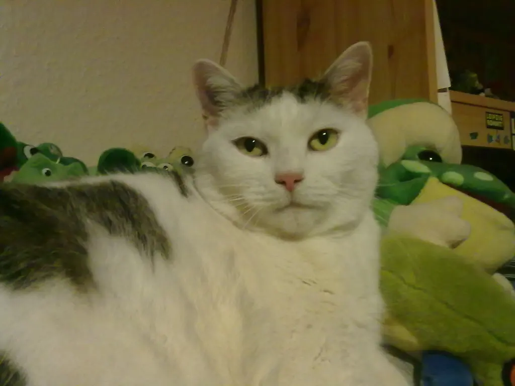 Condolence image of Susi