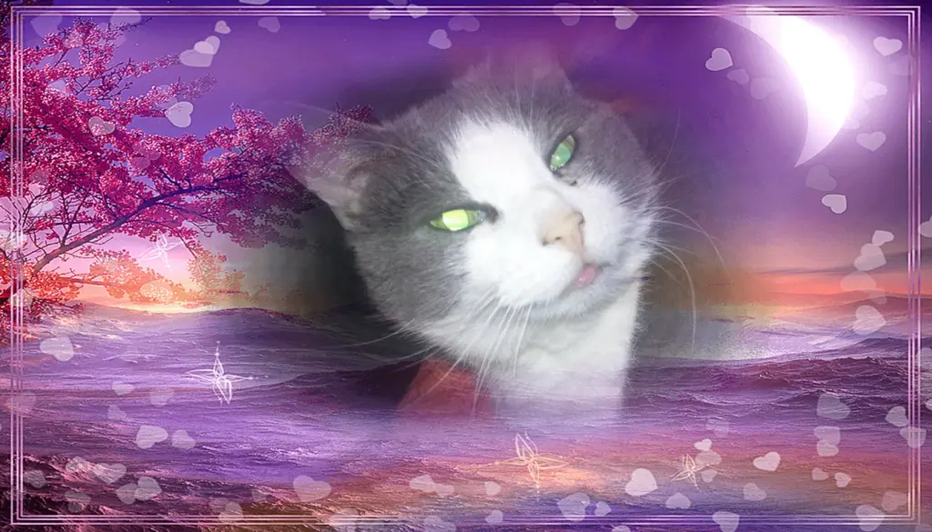 Condolence image of Susanne Hagedorn