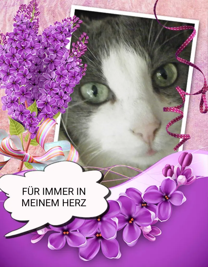 Condolence image of Susanne Hagedorn