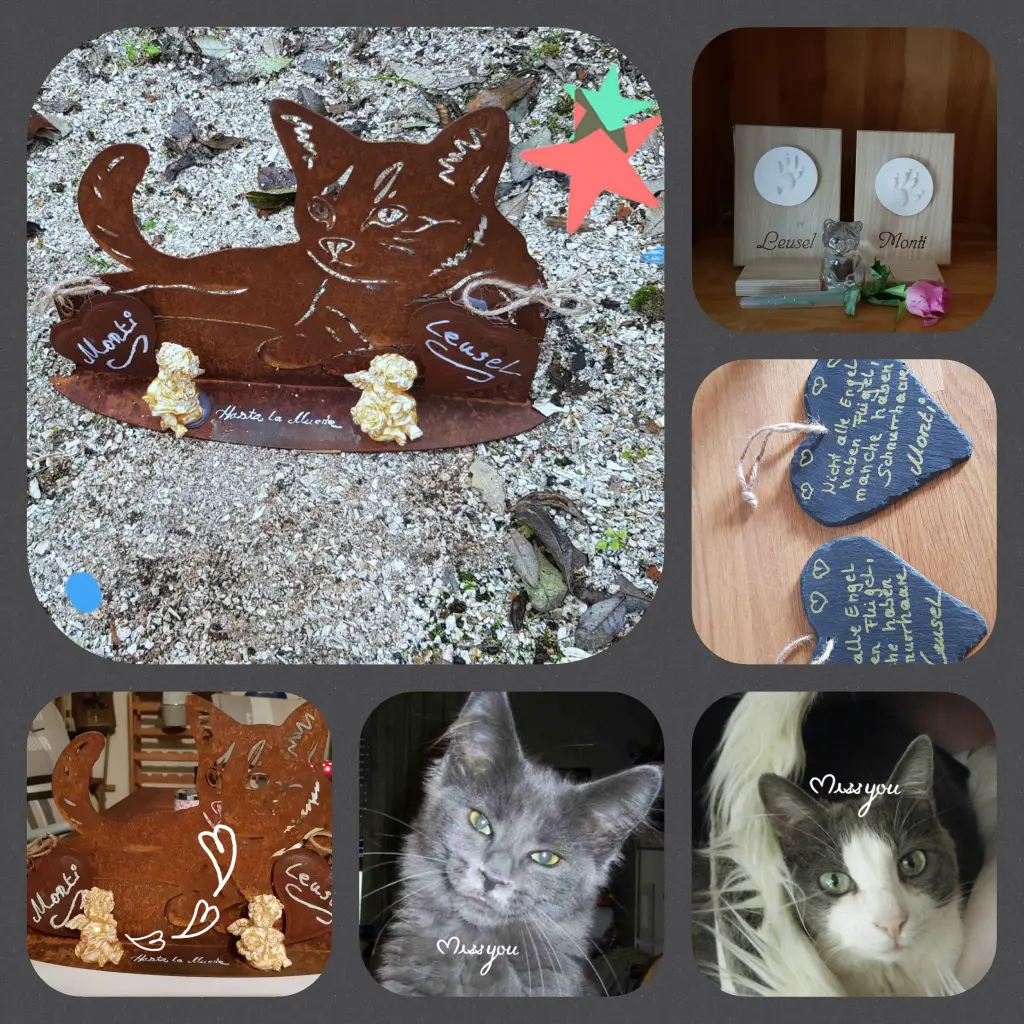 Image from LEUSEL