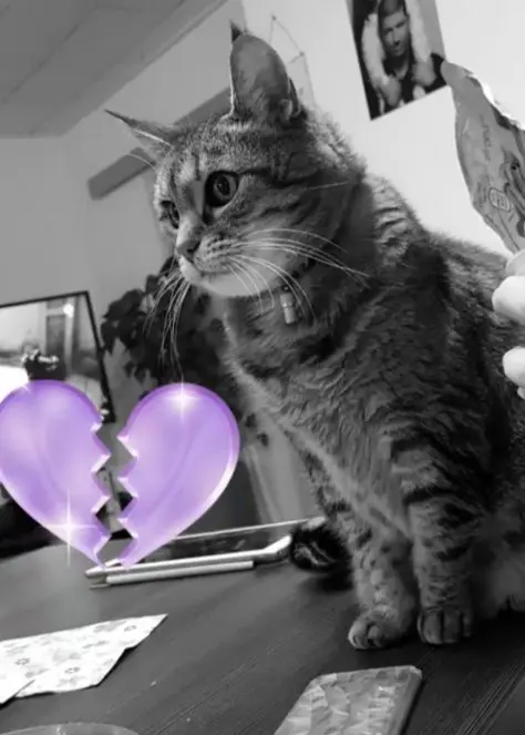 Condolence image of Stefanie