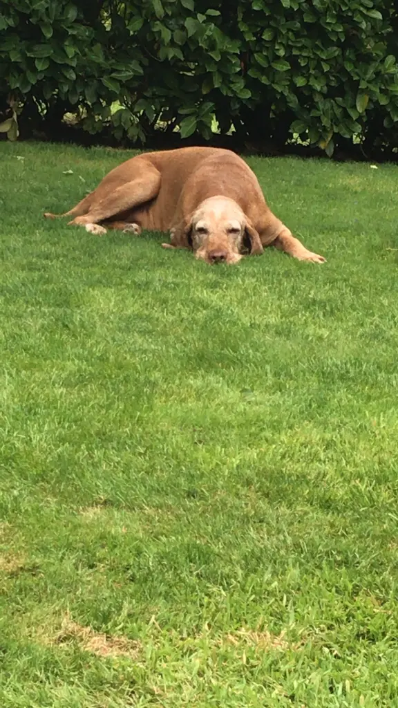 Andachtsbild von Bettina