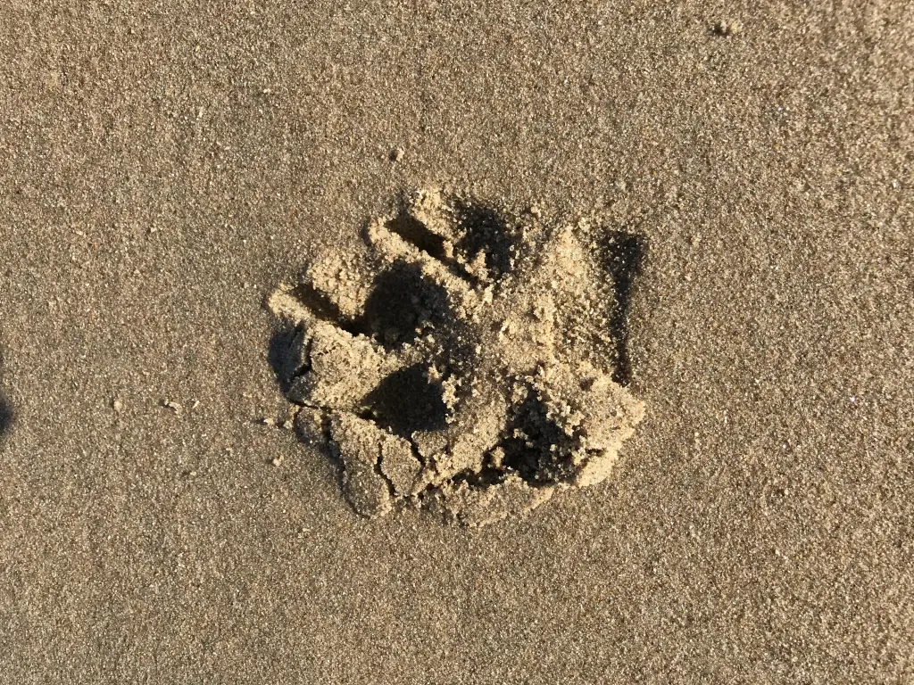 Bild von Tools