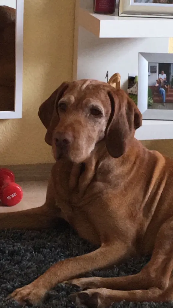 Condolence image of Bettina