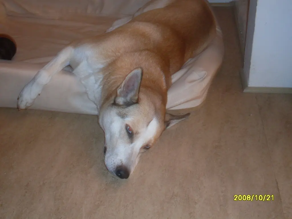 Image from Lennox