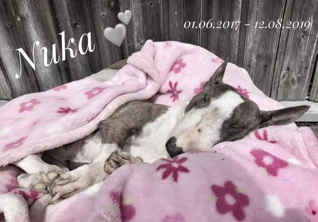 Image from Nuka (One of Us)