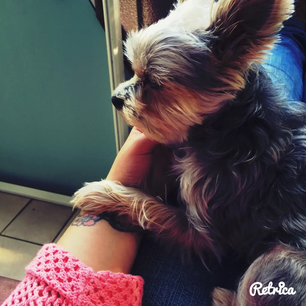 Andachtsbild von Ann-Kristin