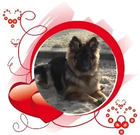 Andachtsbild von ❤️❤️❤️