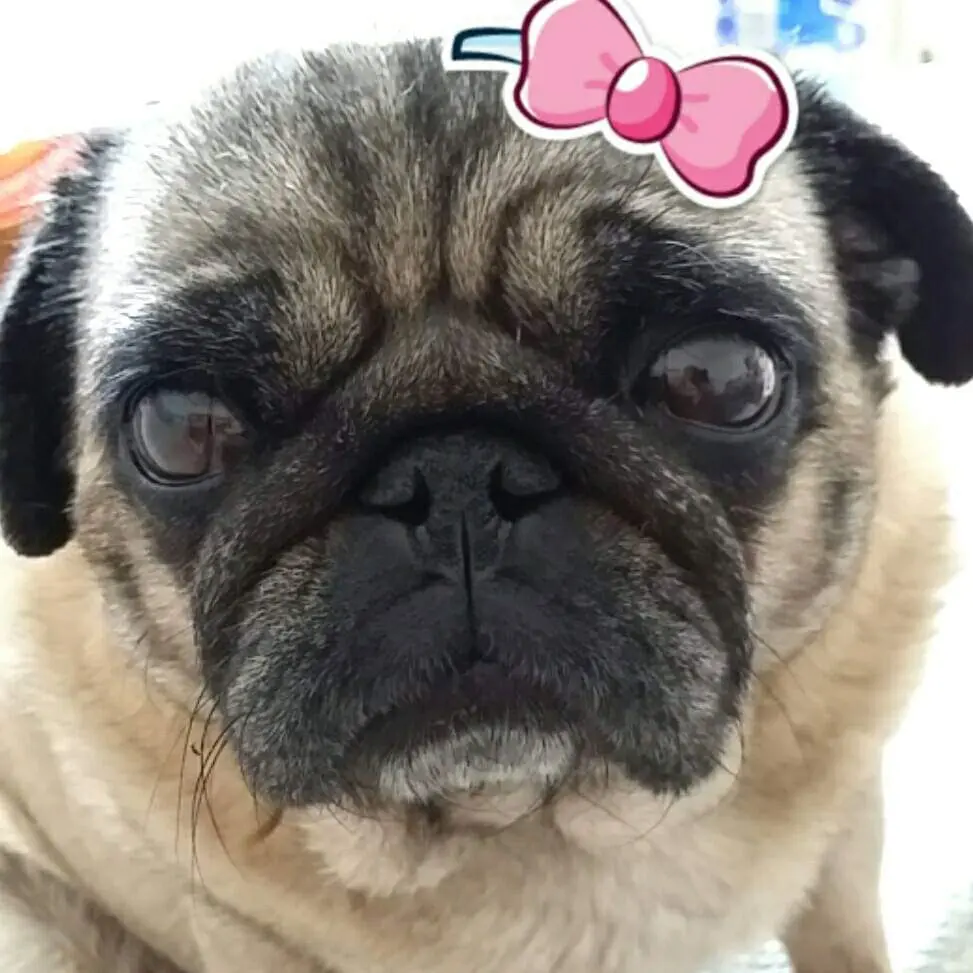Image from Bebi