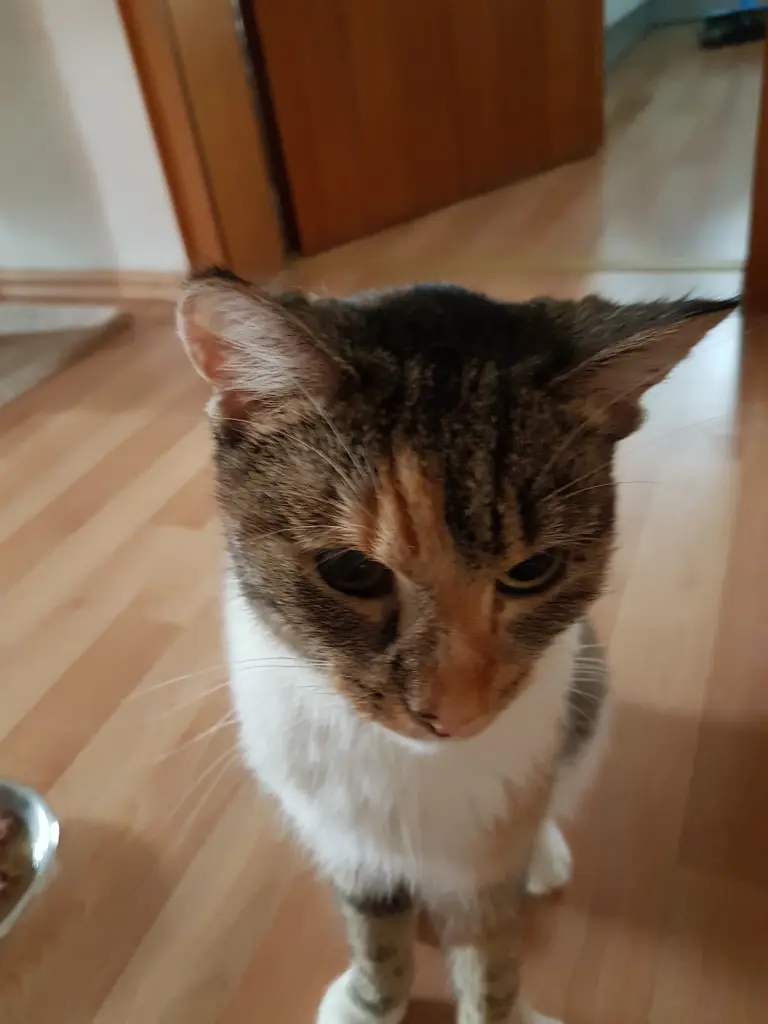 Image from Minnie