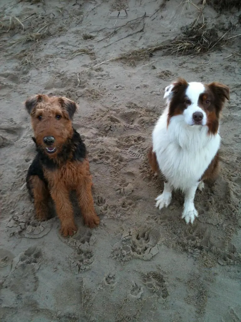 Andachtsbild von Britta  Barghorn