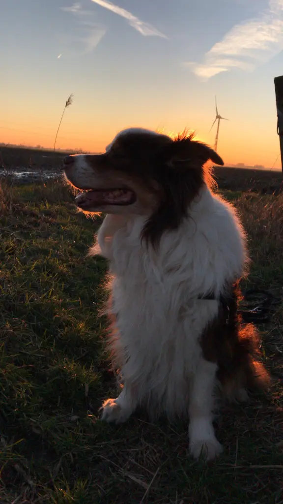 Andachtsbild von Laureen