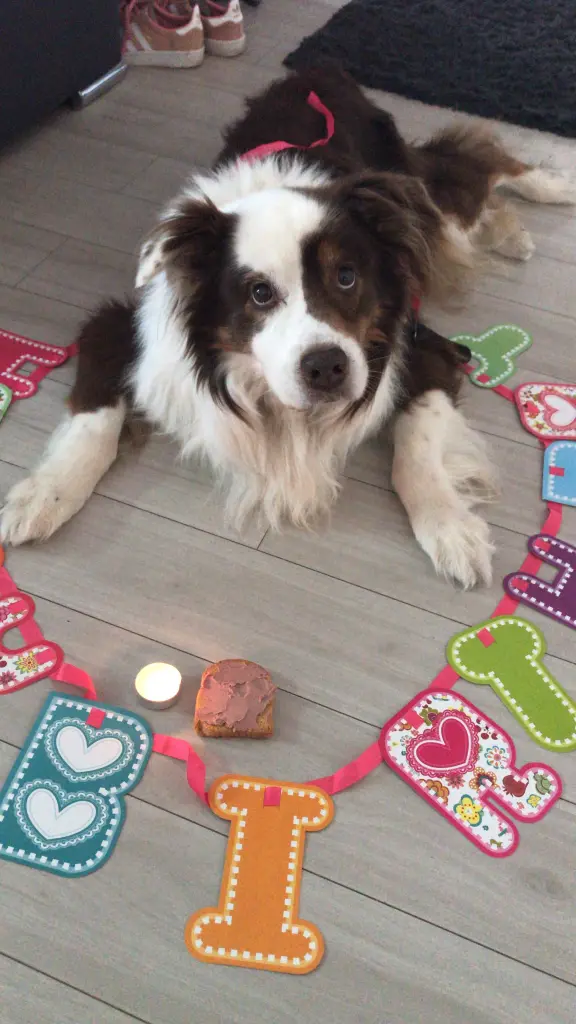 Andachtsbild von Laureen