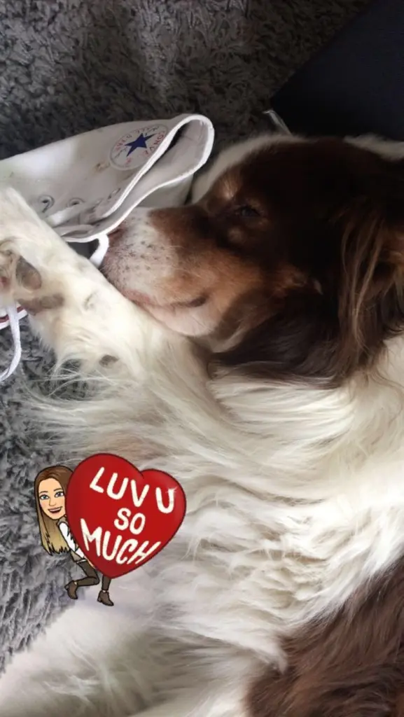 Andachtsbild von Laureen