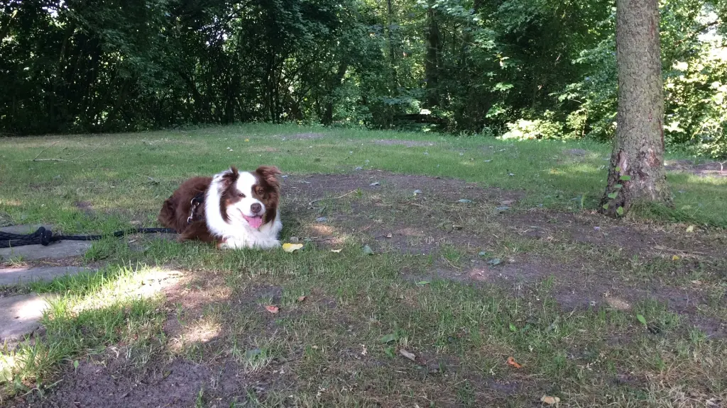 Andachtsbild von Laureen