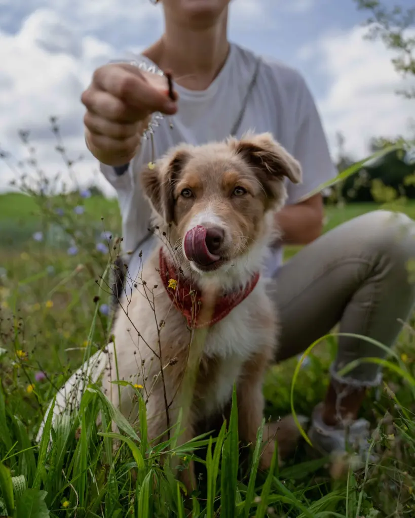 Andachtsbild von Laureen