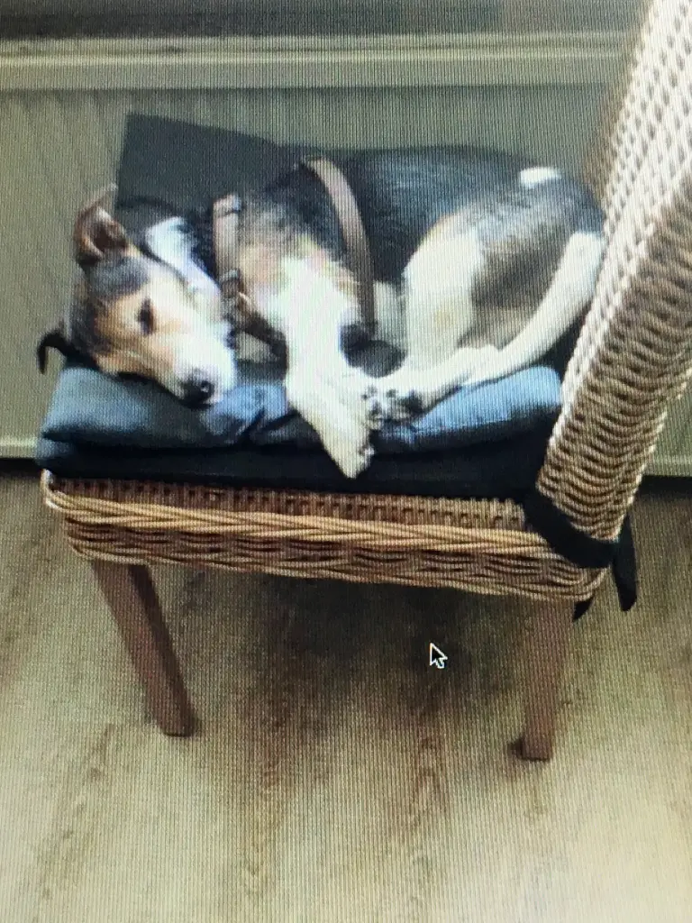 Andachtsbild von Claudia mit Paul im Herzen ♥️