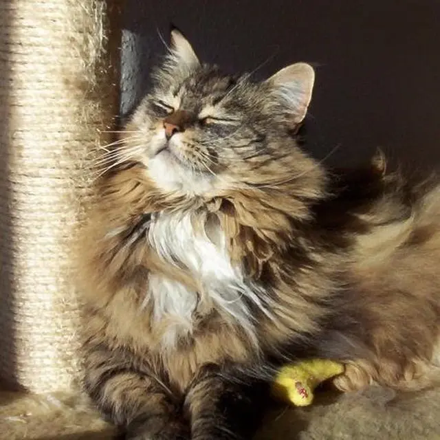 Andachtsbild von Ariane mit Amy im Herzen