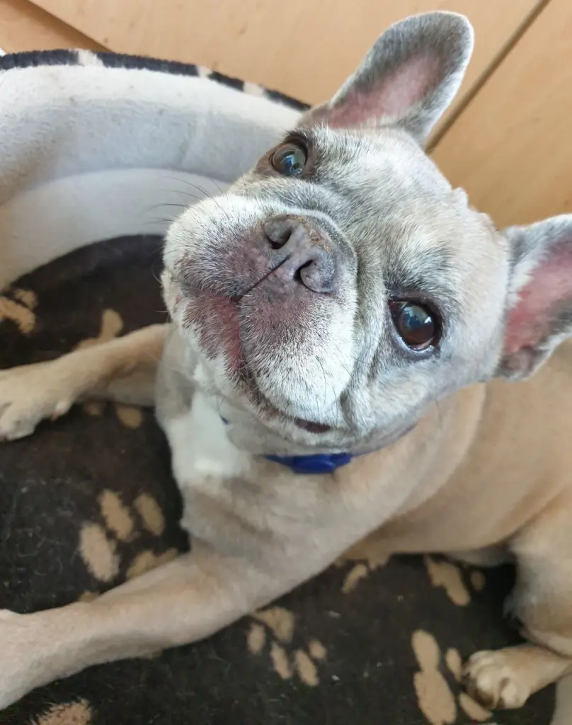 Andachtsbild von Melanie und Remy 