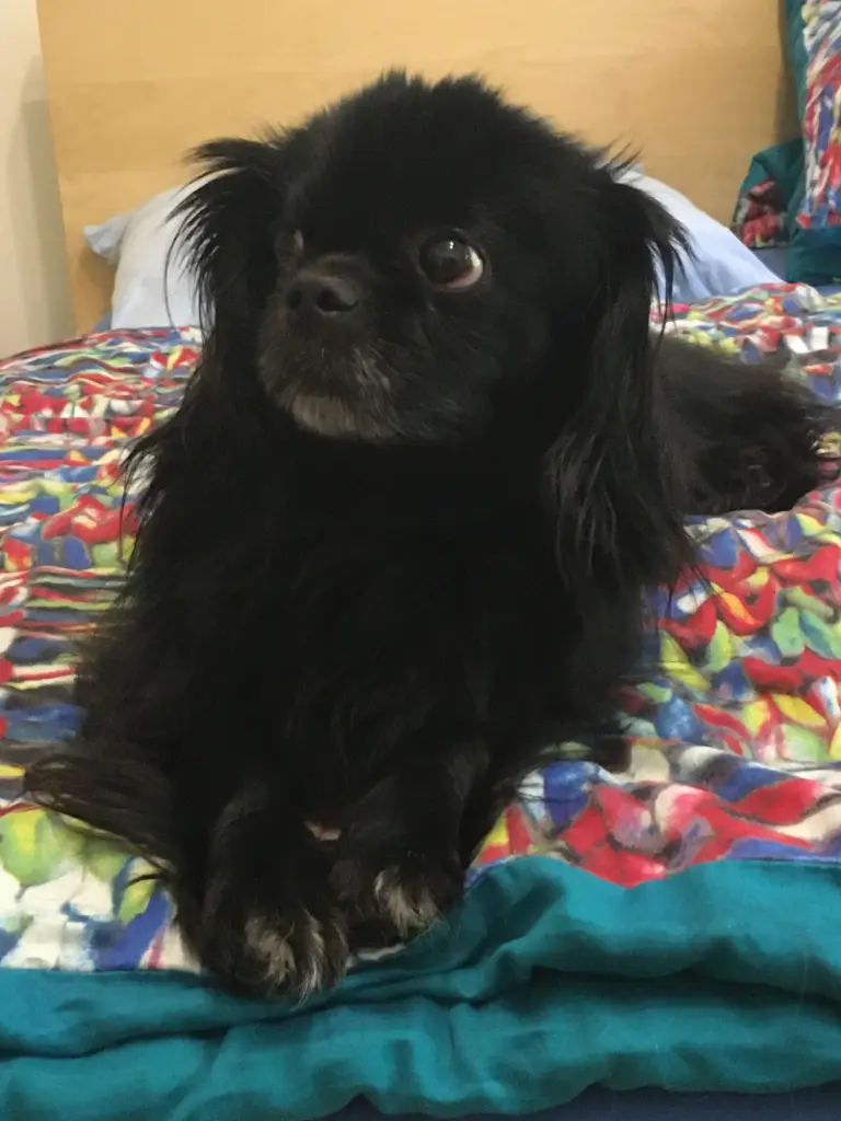 Andachtsbild von Ruth mit Atica im Herzen 