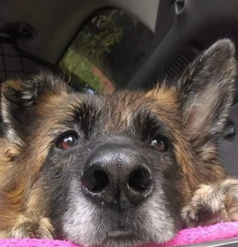 Andachtsbild von Unbekannt