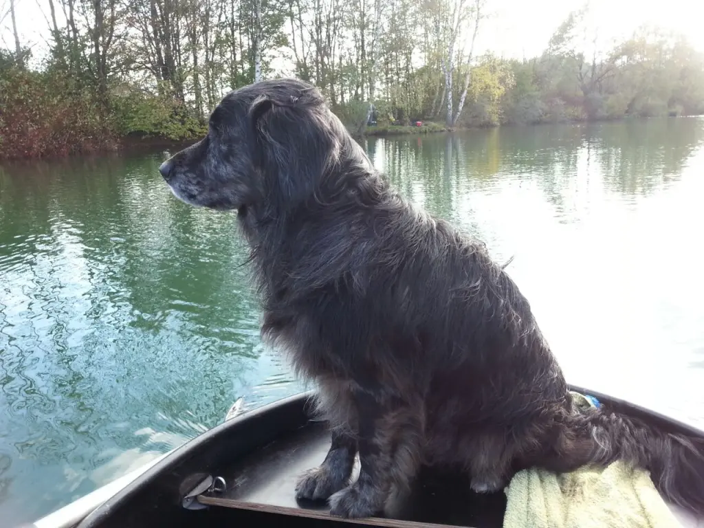 Andachtsbild von Rainer