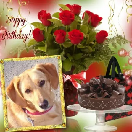 Andachtsbild von Andrea mit Minki im ♥️ gest. 19.10.2020