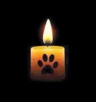 Condolence image of Marlene