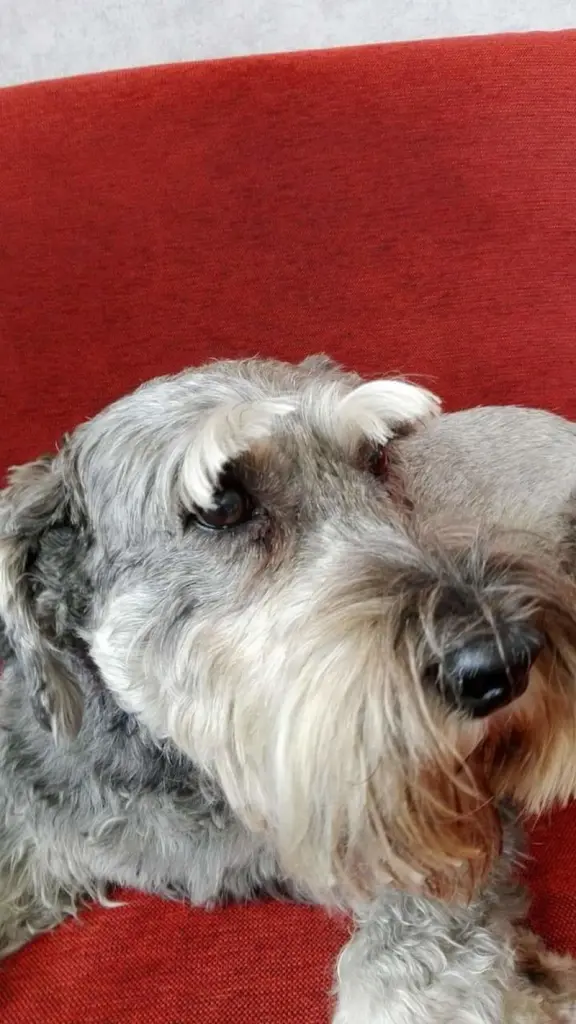 Condolence image of Marita