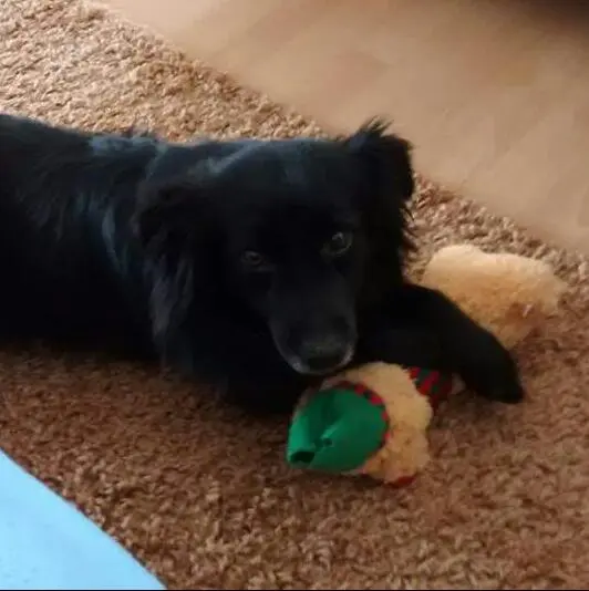 Andachtsbild von Mit Tito im ❤️