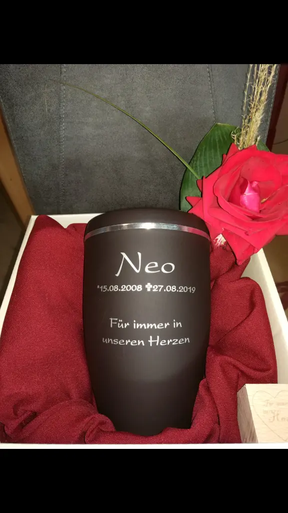 Image from Neo