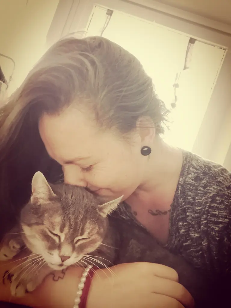 Image from Gismo