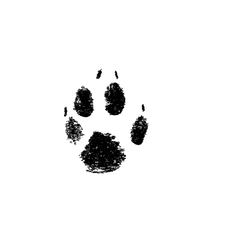 Image from Djego