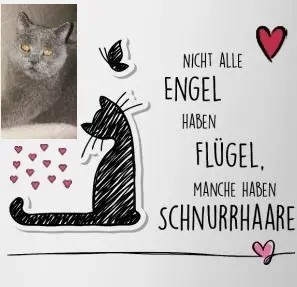 Condolence image of Sabine mit Kaspar tief im Herzen✟ 24.05.2019