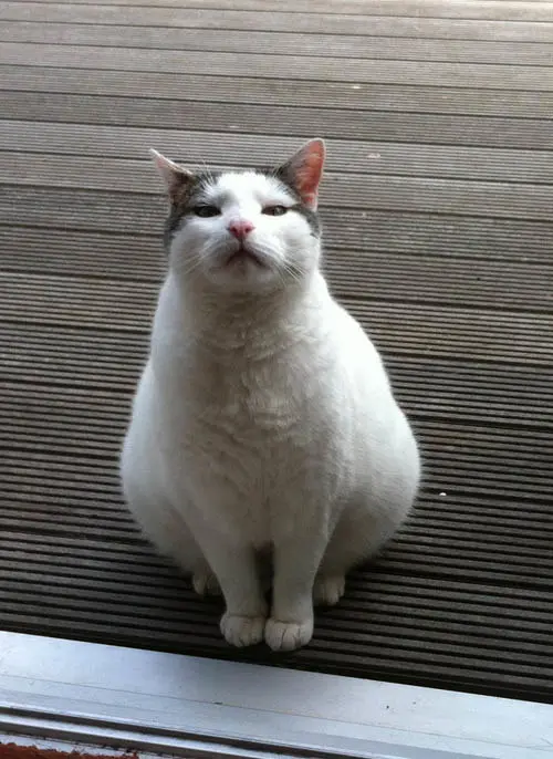 Image from Takki (Bertie)