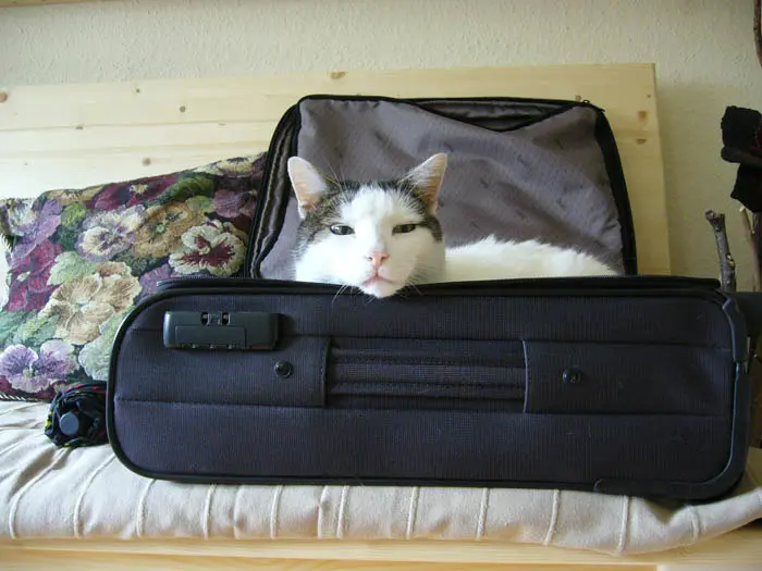 Image from Takki (Bertie)