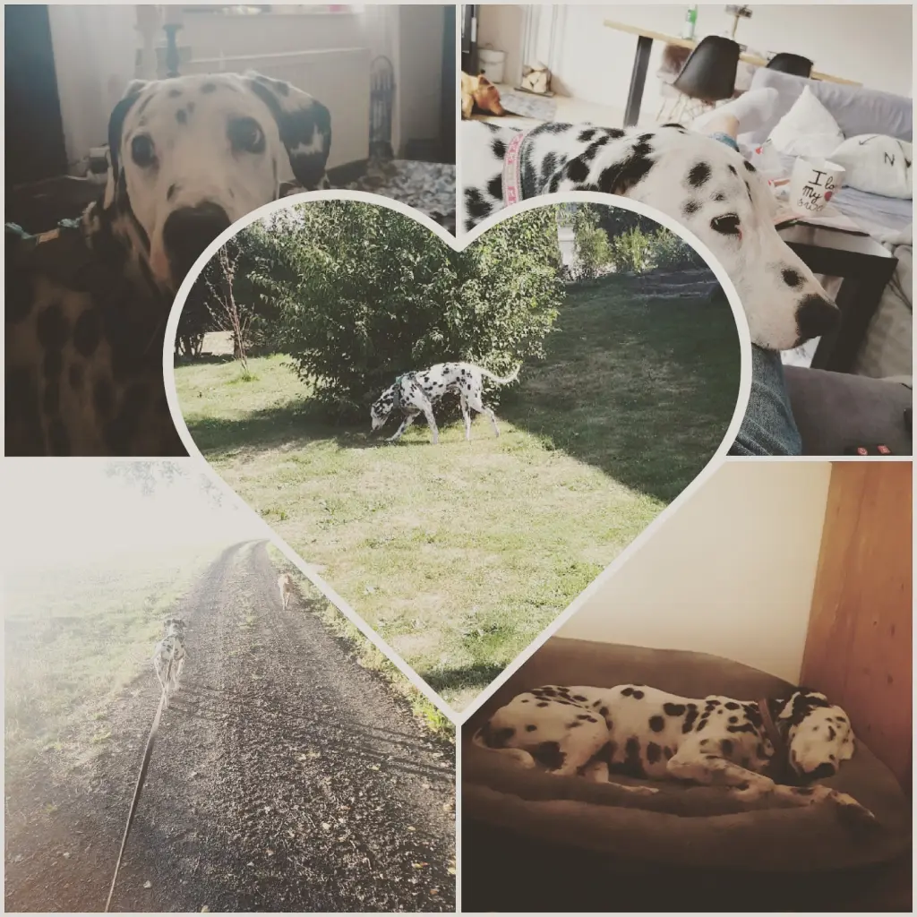 Image from Milow