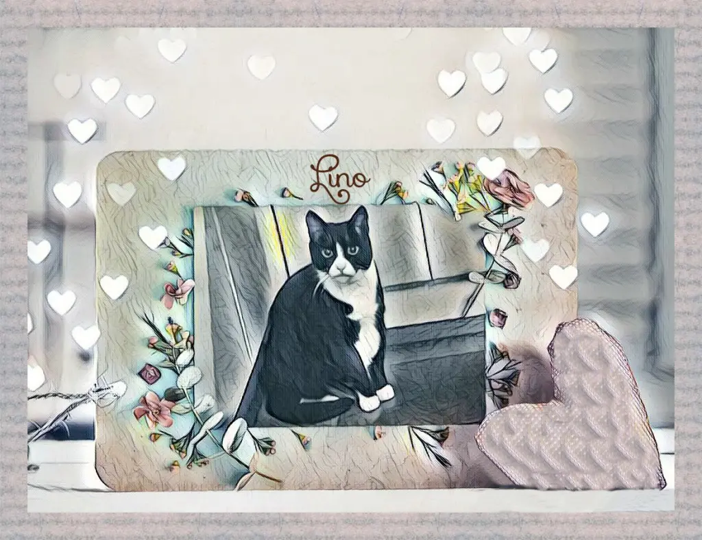 Condolence image of Sabine mit Kaspar tief im Herzen