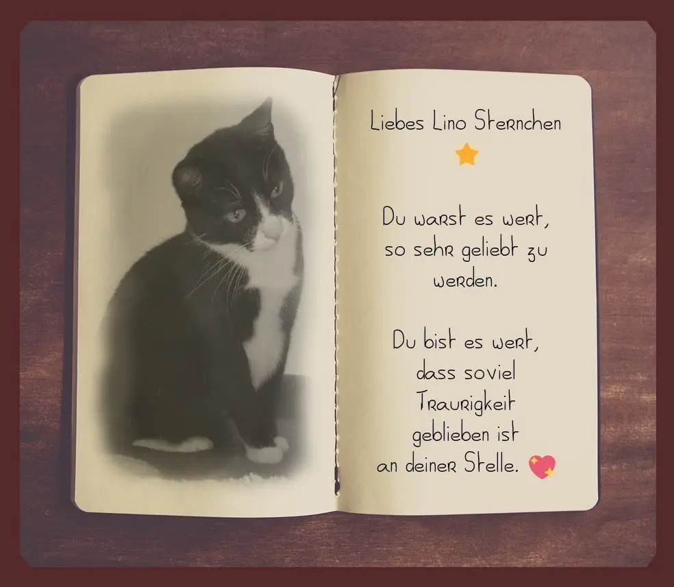 Condolence image of Sabine mit Kaspar tief im Herzen