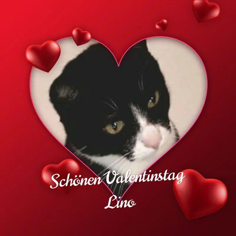 Condolence image of Sabine mit Kaspar tief im Herzen